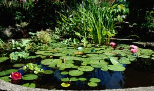 Landscaping company
