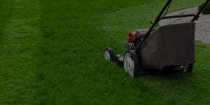 Residential landscaping